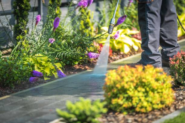 Chase, PA Pressure Washing Services Company