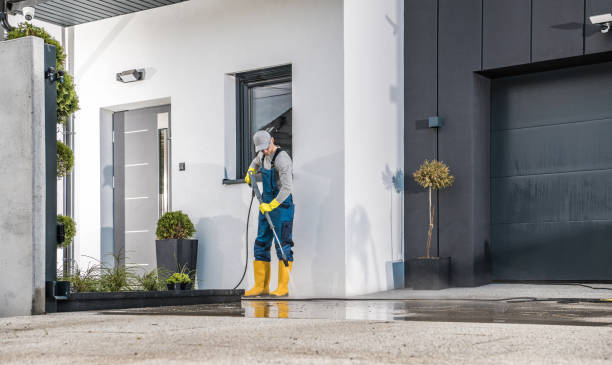 Best Roof Cleaning and Mildew Removal in Chase, PA